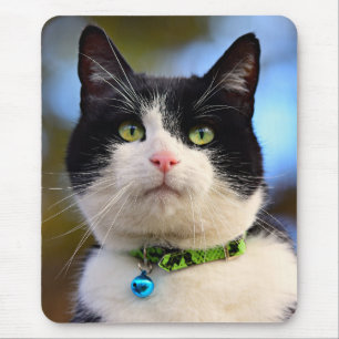 Black and White Shorthair Cat Mouse Mat