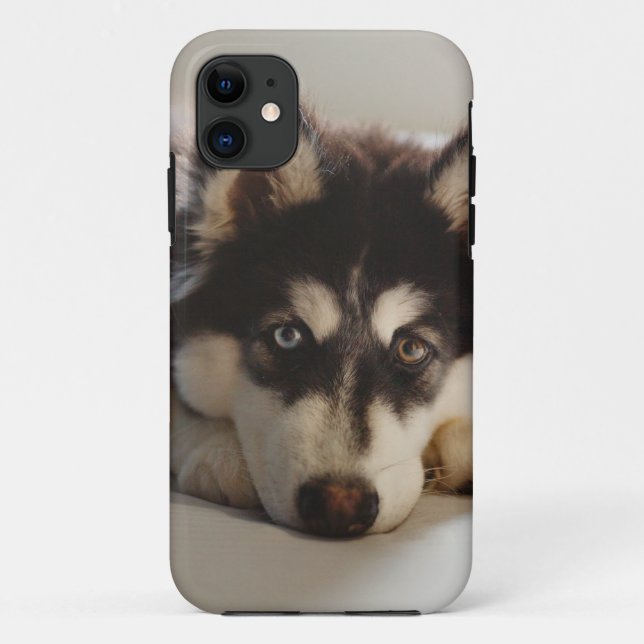 Black and white siberian husky Case-Mate iPhone case (Back)