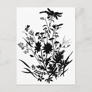 Black and White Silhouette Floral...postcard Postcard