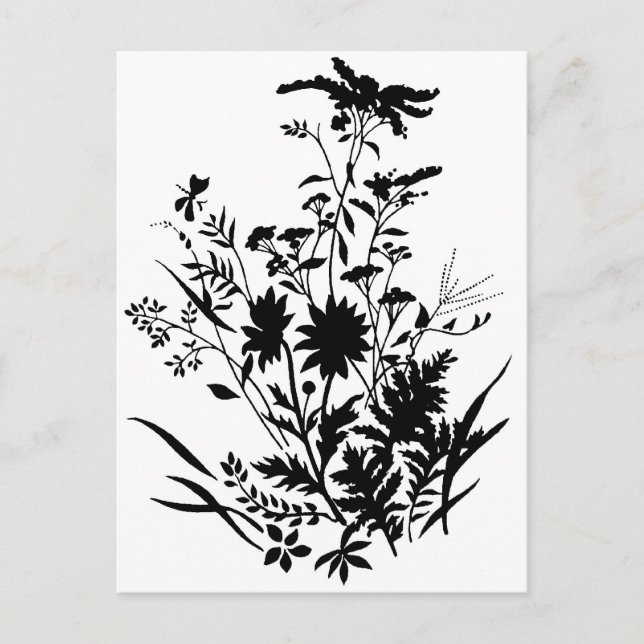 Black and White Silhouette Floral...postcard Postcard (Front)