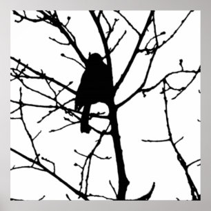 Black and White Silhouette of chickadee in a tree Poster