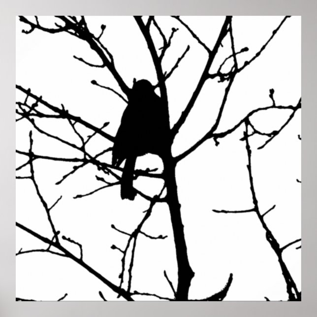 Black and White Silhouette of chickadee in a tree Poster (Front)