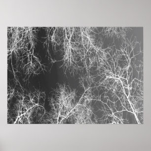 Black and white silhouetted trees poster