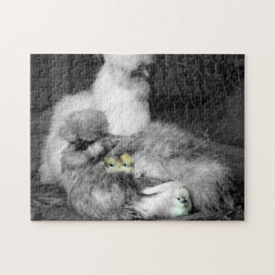 Black and White Silkie Chickens with yellow Chicks Jigsaw Puzzle