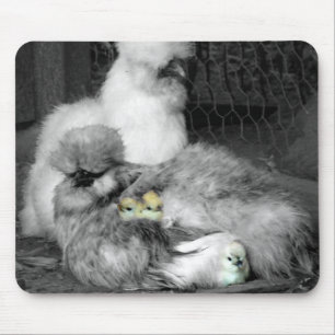 Black and White Silkie Chickens with yellow Chicks Mouse Mat