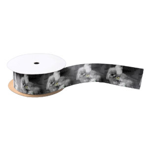 Black and White Silkie Chickens with yellow Chicks Satin Ribbon