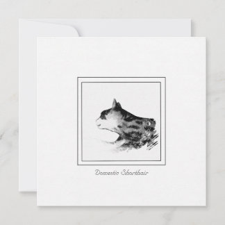 Black and White Sketch Domestic Shorthair Cat Card