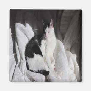 Black and White Sleeping Cat/Add Your Pet's Photo Magnet