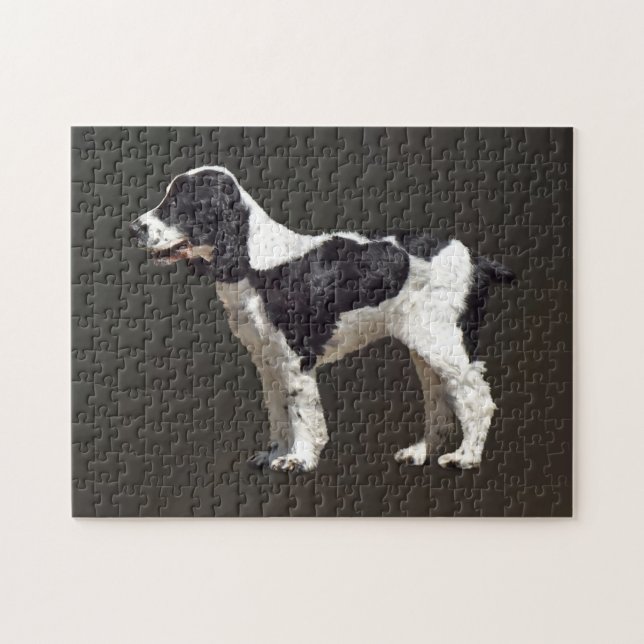 Black and White Spaniel Jigsaw Puzzle (Horizontal)