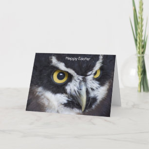 Black and White Specacled Owl Easter Holiday Card