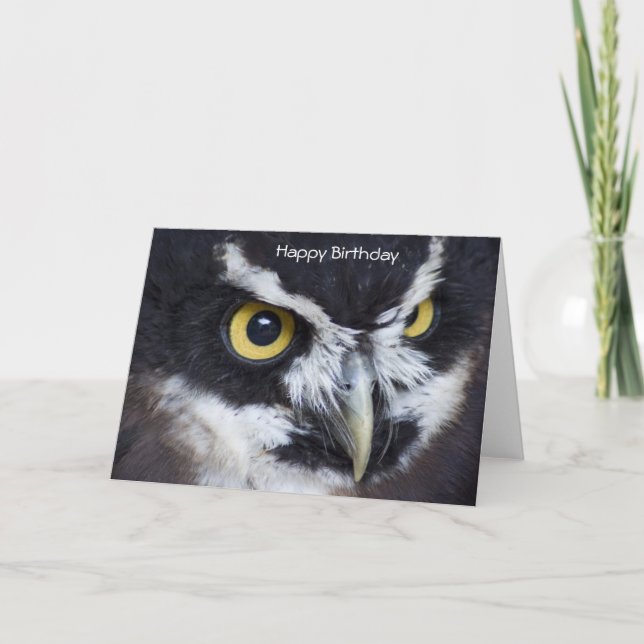 Black and White Spectacled Owl Birthday Card (Front)