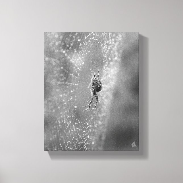 Black and White Spider on its Dewy Web Canvas Print (Front)