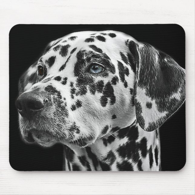 Black and White Spotted Dalmatian Dog Photo Mouse Mat (Front)