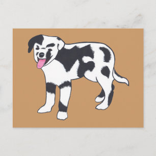 Black and White Spotted Dog Postcards
