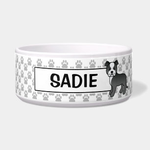 Black And White Staffordshire Bull Terrier & Name