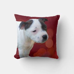 Black And White staffordshire Bull Terrier Puppy, Cushion