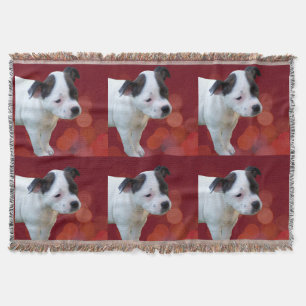 Black And White staffordshire Bull Terrier Puppy, Throw Blanket