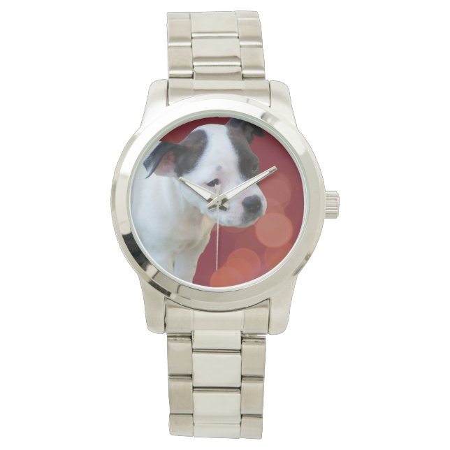 Black And White Staffordshire Bull Terrier Puppy, Watch (Front)