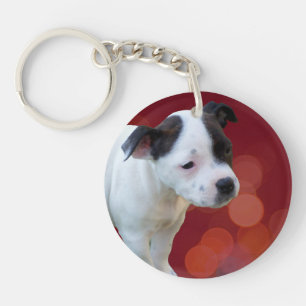 Black And White Staffy Puppy, Key Ring