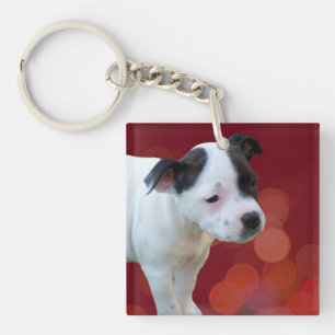 Black And White Staffy Puppy, Key Ring