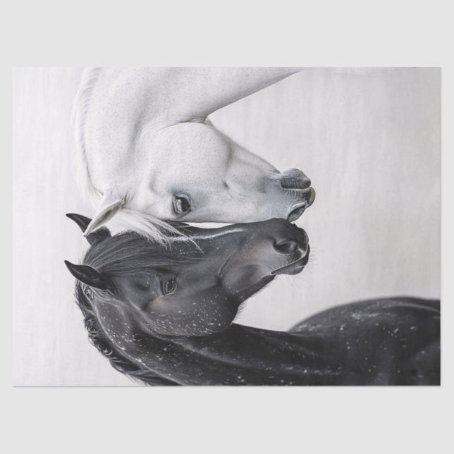 Black and White Stallion Horse Art Decoupage Tissue Paper (Front)