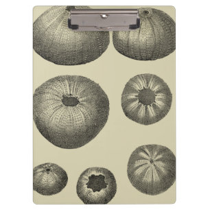 Black and White Starfish Clipboard
