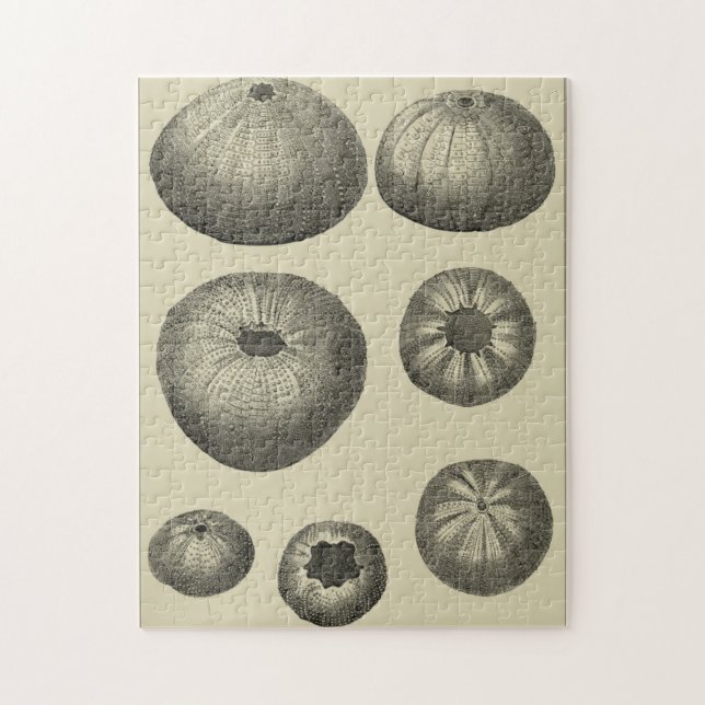 Black and White Starfish Jigsaw Puzzle (Vertical)