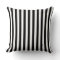 Black and White Stripe Pattern