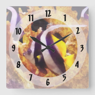 Black and White Striped Angelfish Square Wall Clock