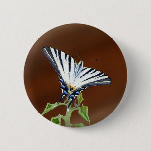 Black and White Striped Fantail Butterfly 6 Cm Round Badge