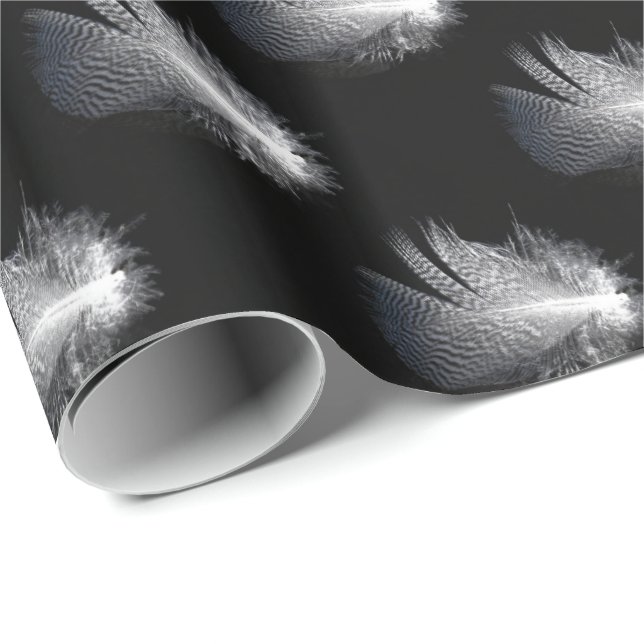 Black and White Striped Feather Floating on a Pond Wrapping Paper (Roll Corner)