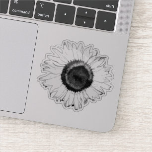 Black and White Sunflower Blossom
