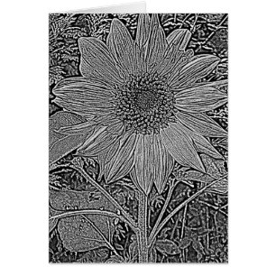 black and white sunflower flowers contempory