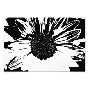 Black and White Sunflower Print