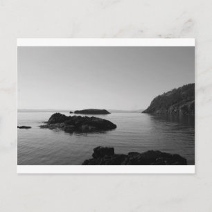 Black and White Sunset Ocean Scene Postcard