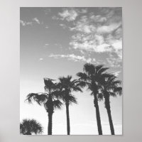 Black and White Sunset Tropical Palm Trees 