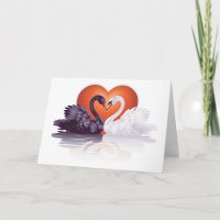 Black and White Swans in Love Heart