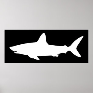 Black and White Swimming Shark Poster