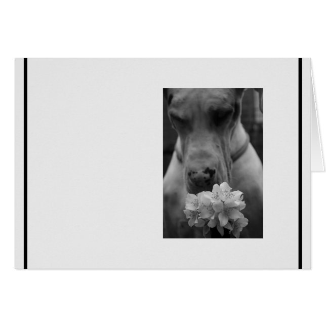 Black and White Sympathy condolence (Front Horizontal)