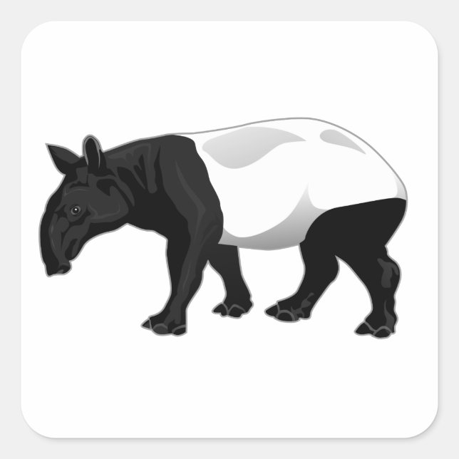 Black and White Tapir Square Sticker (Front)