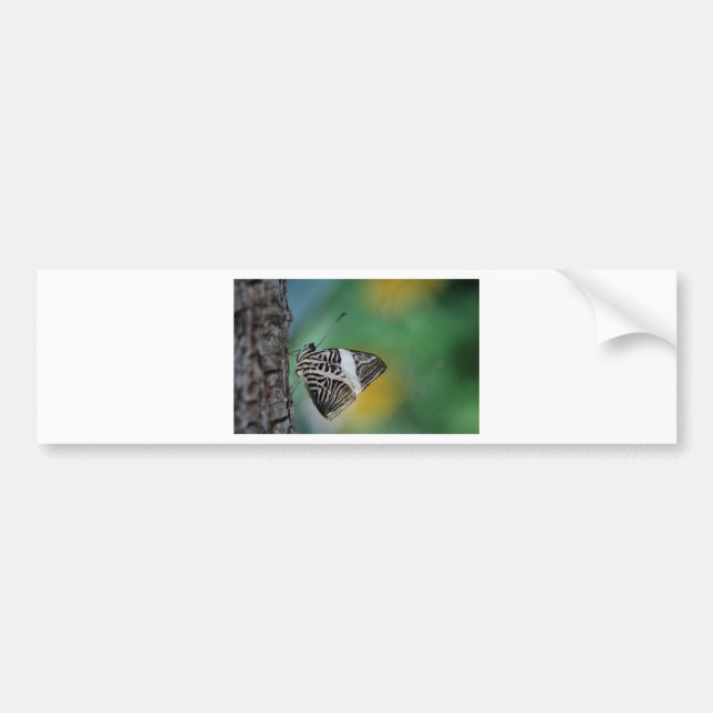 Black and White Tiger Butterfly Bumper Sticker (Front)