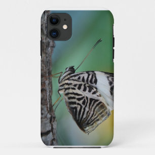 Black and White Tiger Butterfly iPhone 11 Case