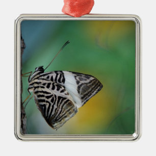 Black and White Tiger Butterfly Metal Tree Decoration