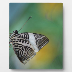 Black and White Tiger Butterfly Plaque