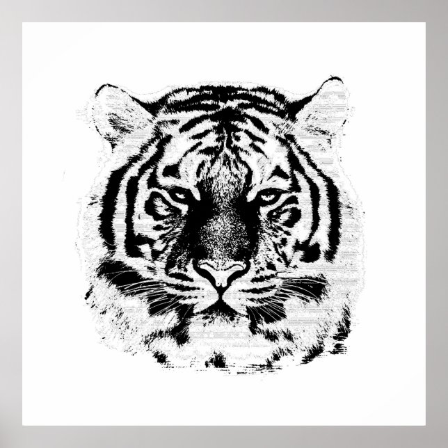 Black and White Tiger Face Poster (Front)