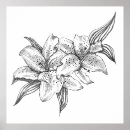 Black and White Tiger Lily Poster