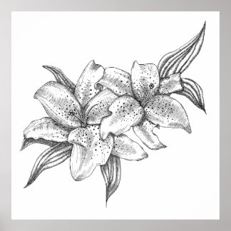 Black and White Tiger Lily Poster