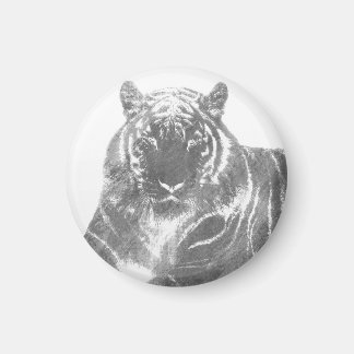 Black and White Tiger Magnet