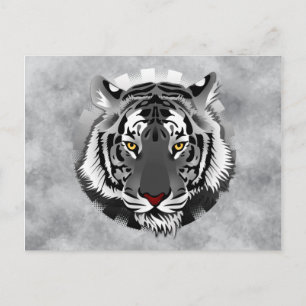 Black And White Tiger Postcard