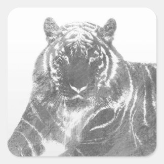 Black and White Tiger Square Sticker
